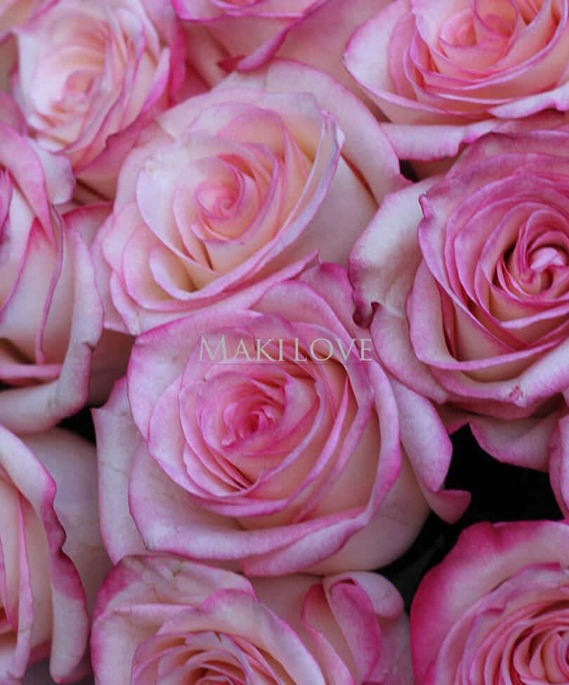 Букет из 25 розовых роз