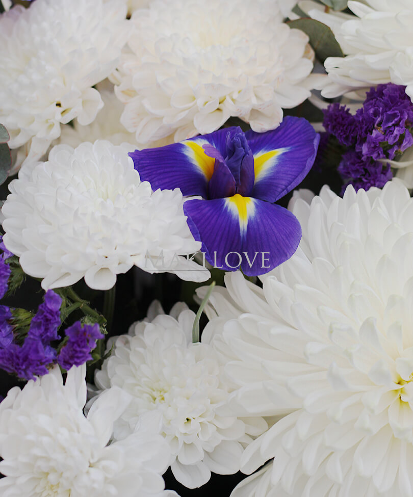 Букет с ирисами «Тысяча звезд»