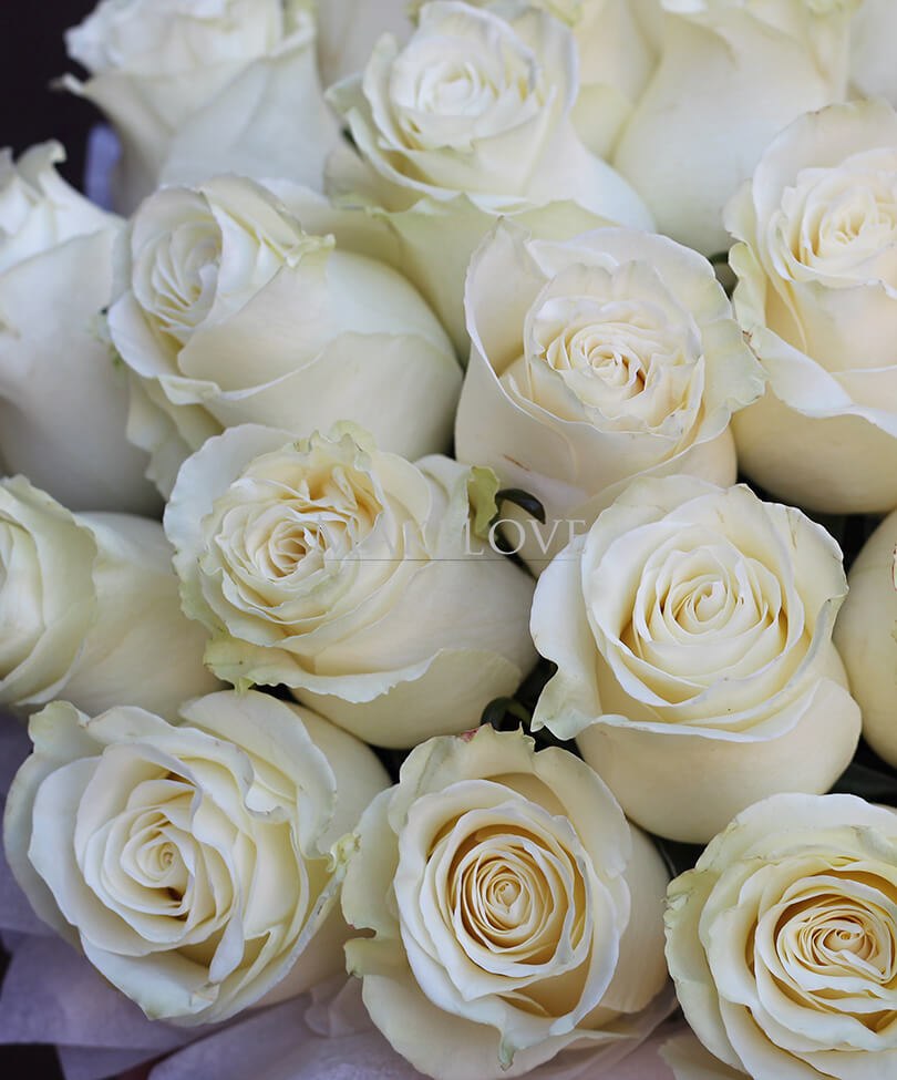 Букет «Белая любовь» из 25 белых роз
