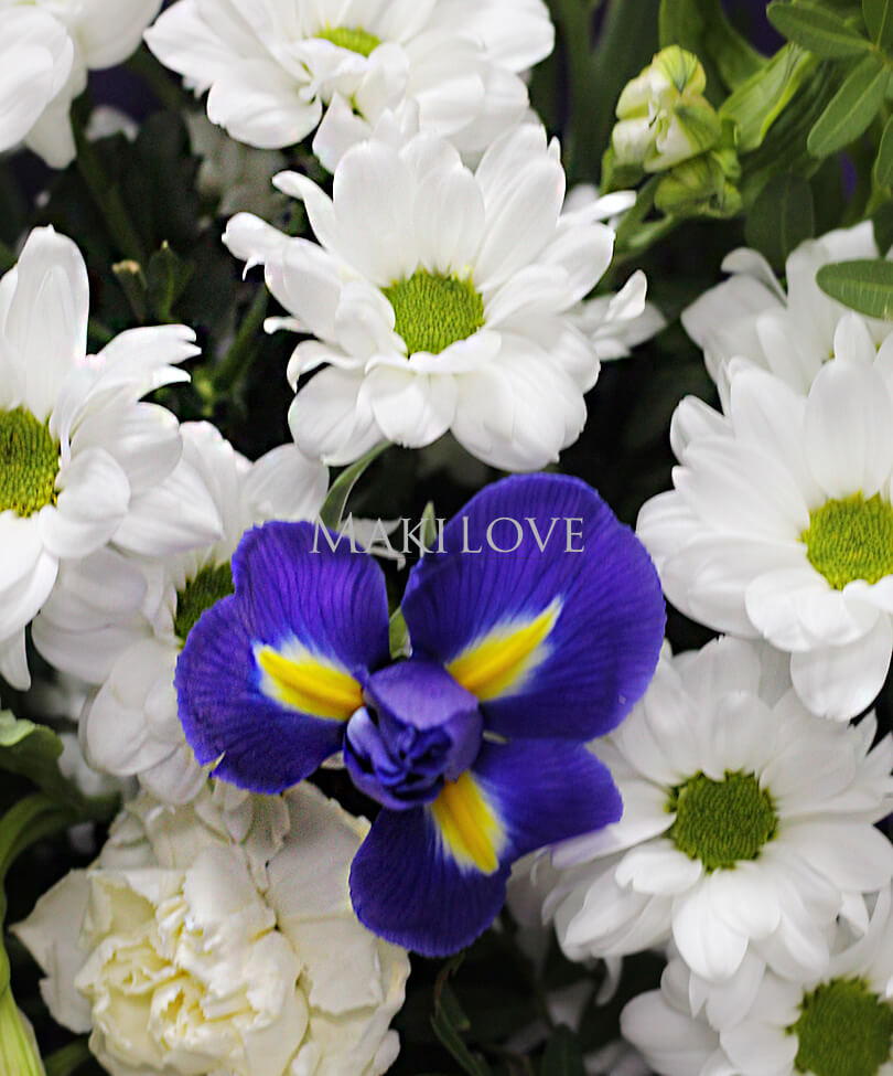 Букет цветов «Софит»