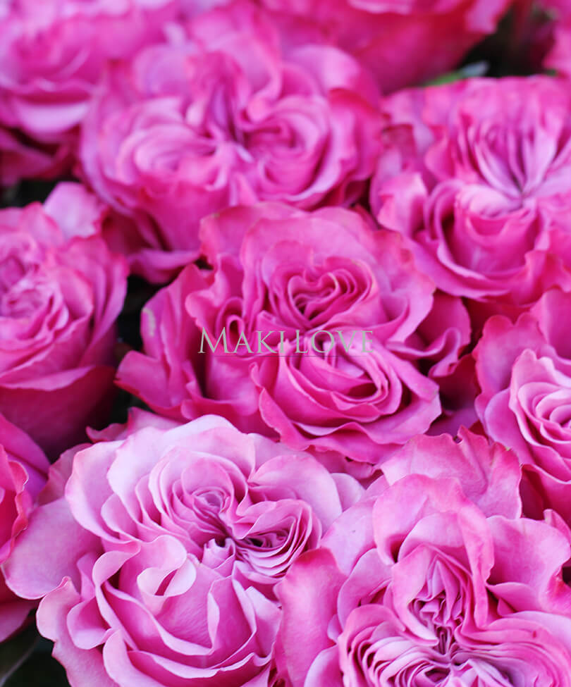 Букет из 25 пионовидных роз