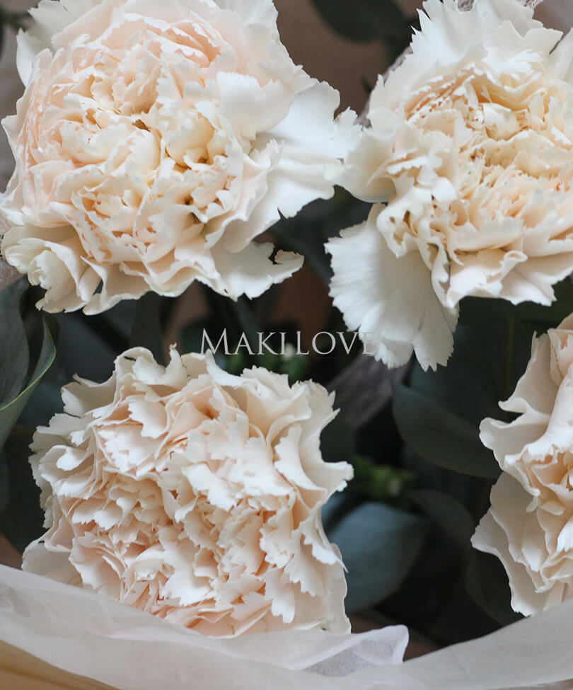 Букет из 9 нежных гвоздик