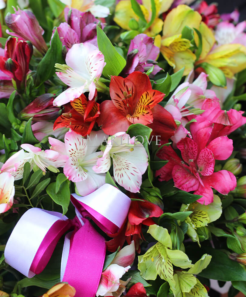 Букет «Кейптаун» в шляпной коробке