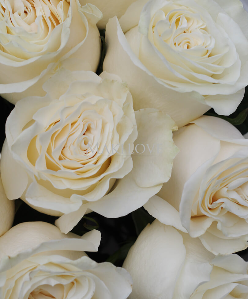 Букет 21 белая роза в крафт бумаге