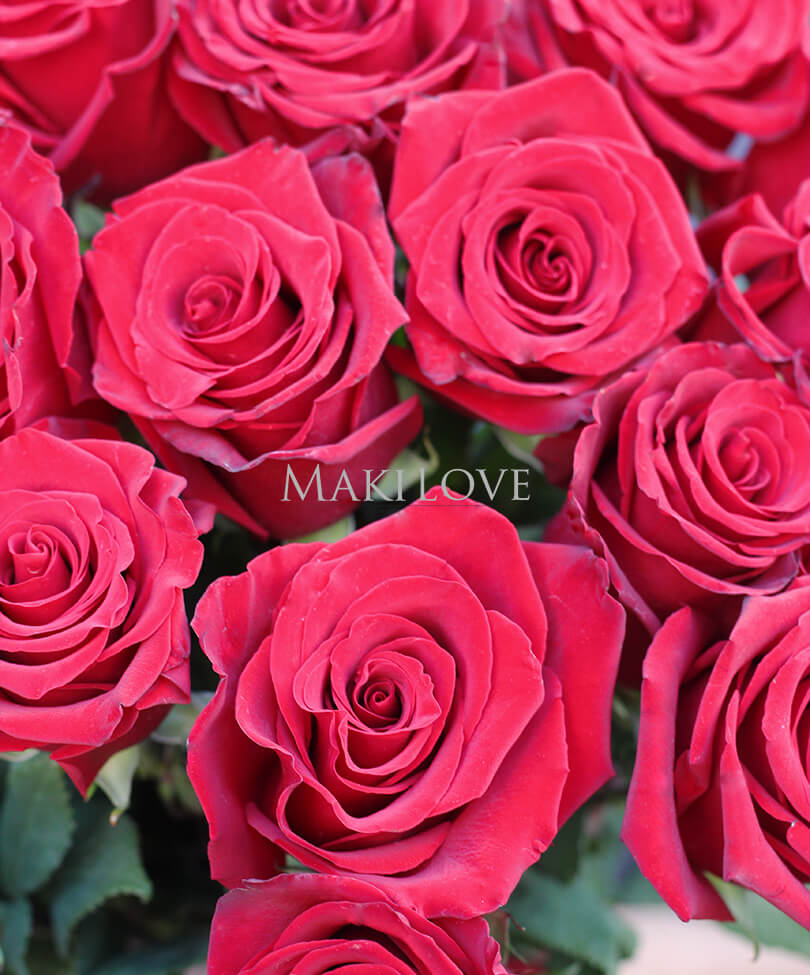 Букет 21 красная роза