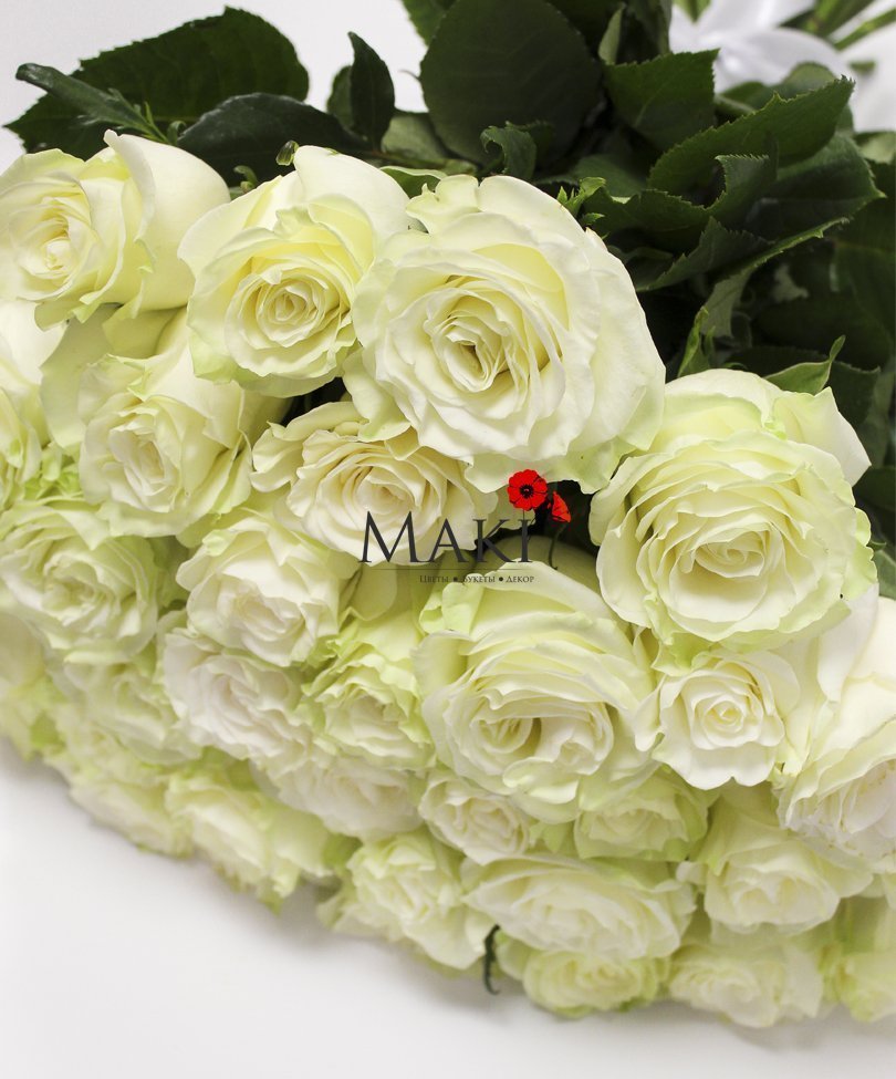 Букет 35 белых роз «Premium»