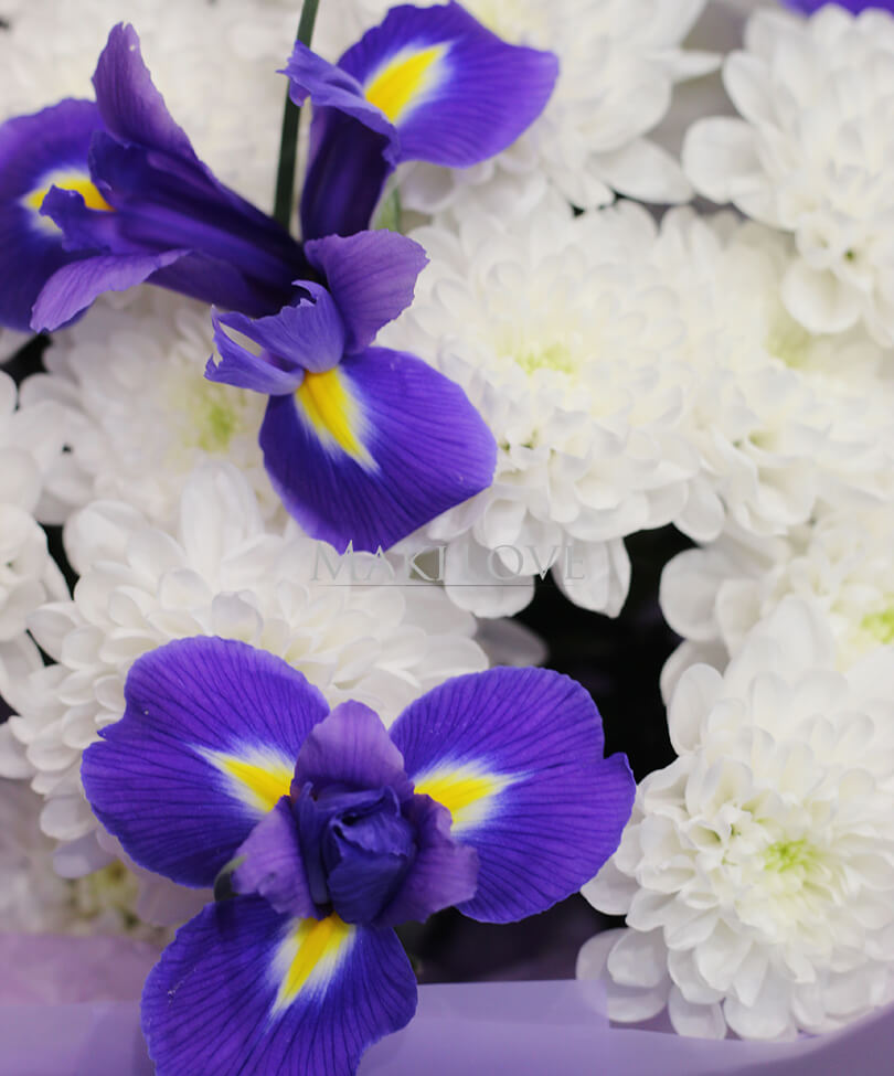 Букет ирисов «Беззаботная юность»