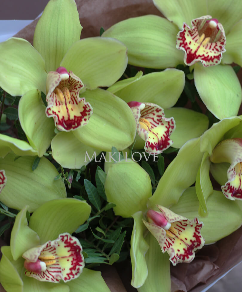 Букет «Хрупкость»