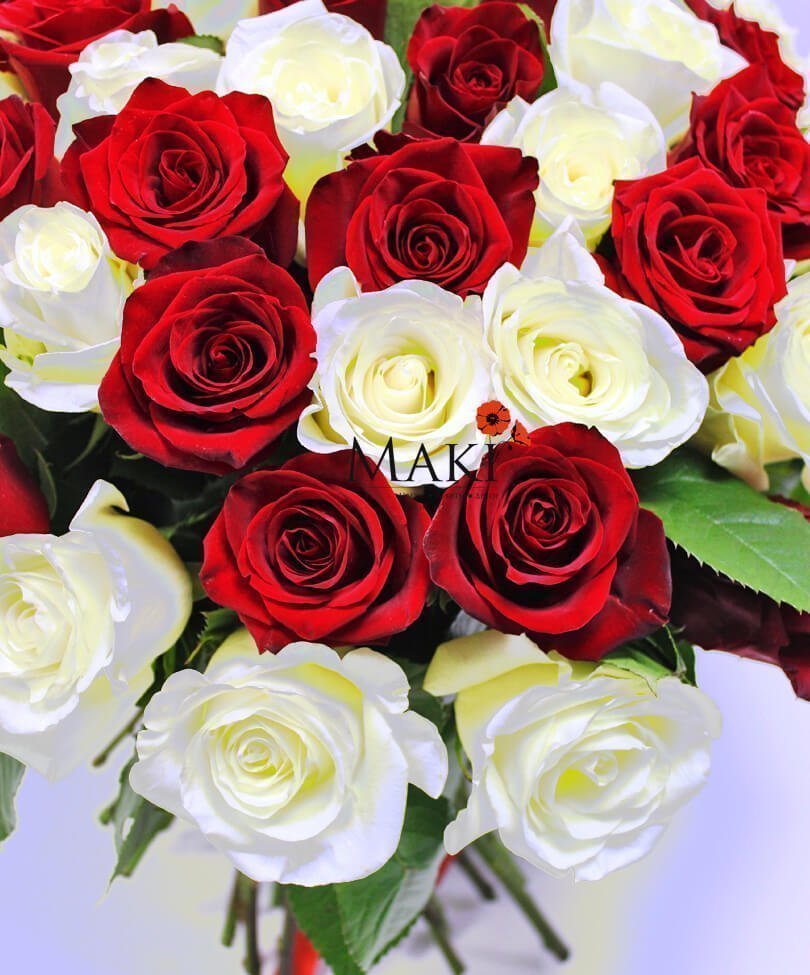 Букет 51 красная и белая роза