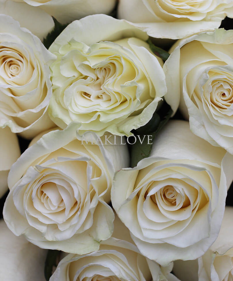 Букет из 45 белых роз