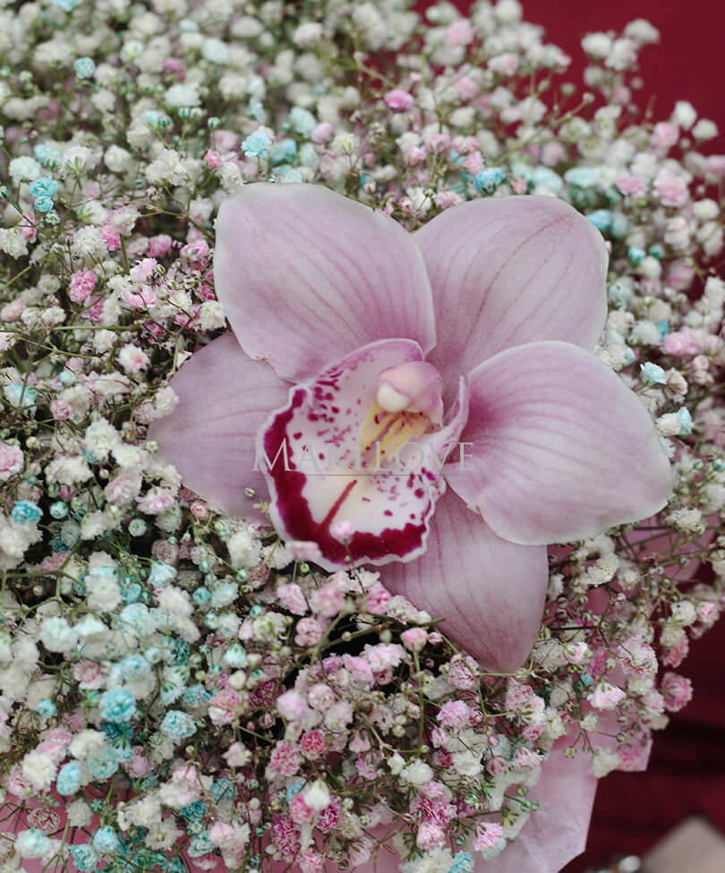 Цветочная композиция «Новая Зеландия»