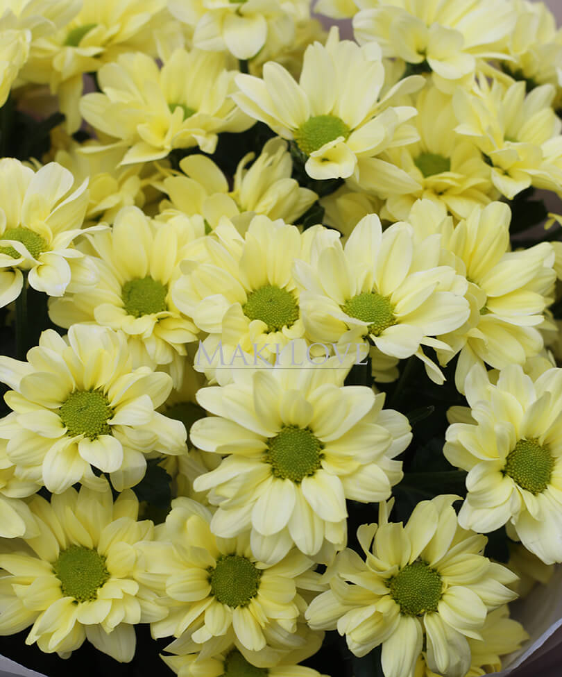 Букет из 5 желтых хризантем