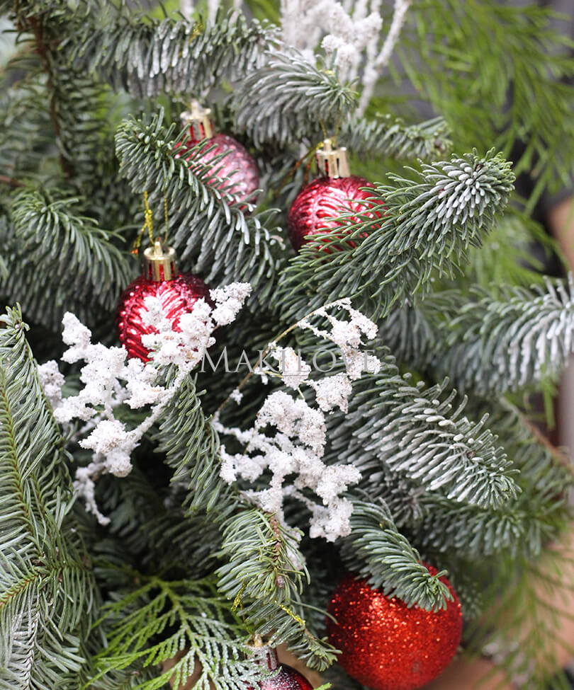 Новогодняя композиция «Winter» из нобилиса