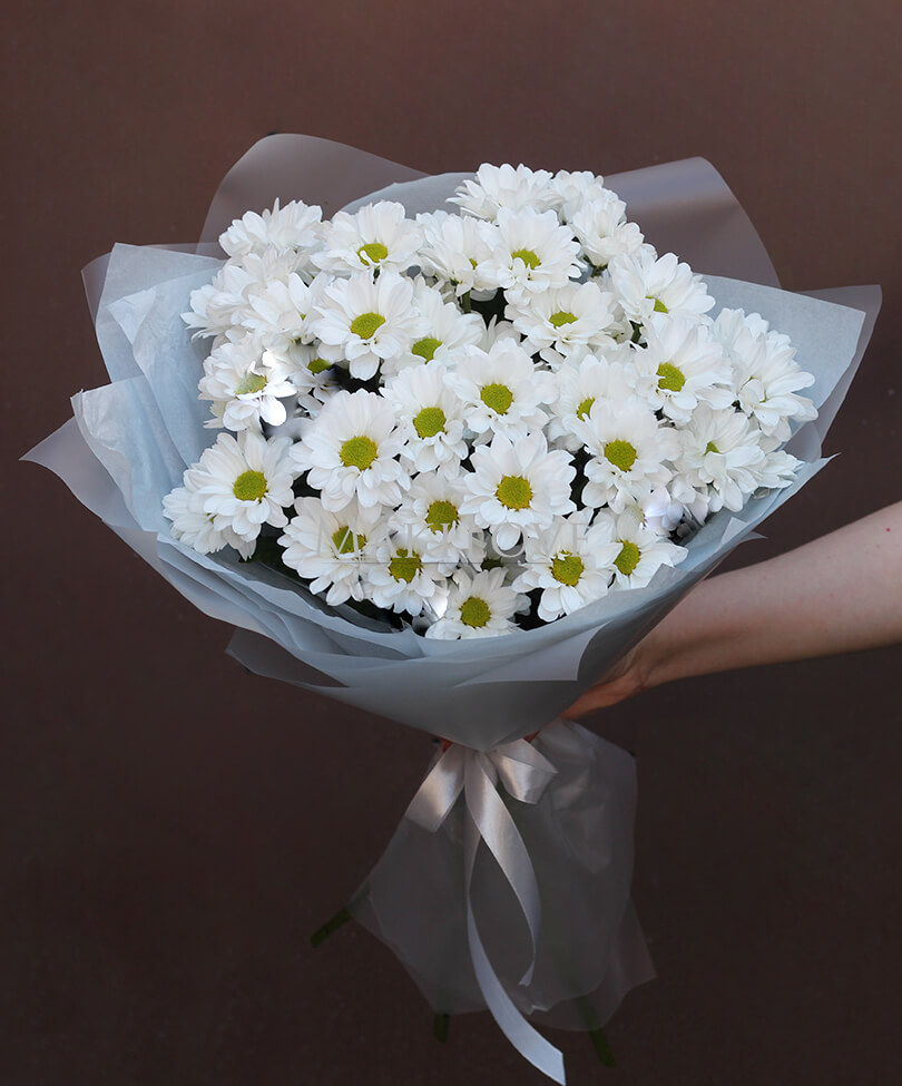 Букет из 5 хризантем