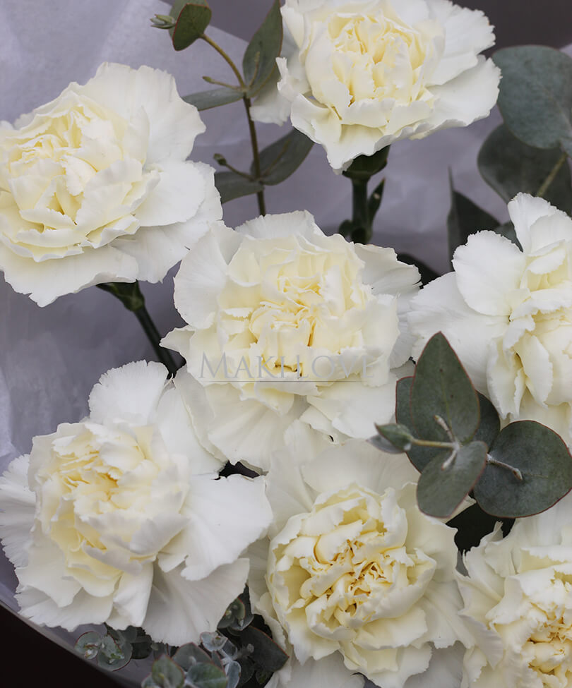 Букет «Нежные диантусы»