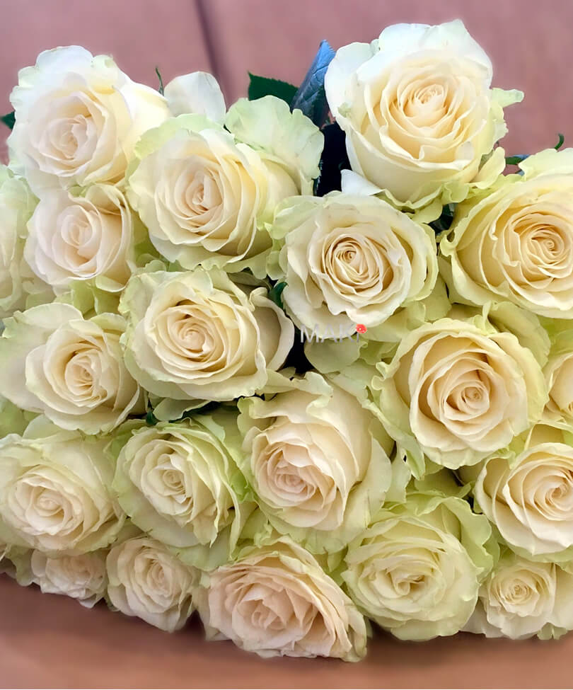 25 белых роз Premium