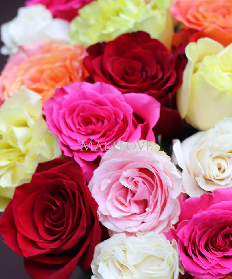 Букет из 25 разноцветных роз
