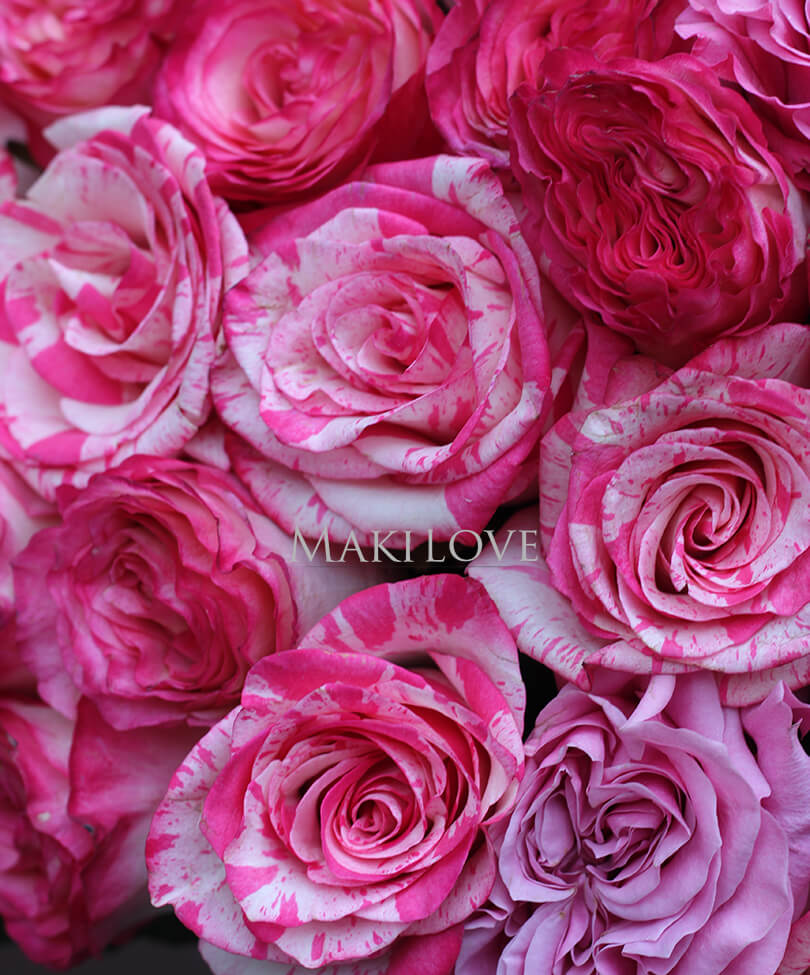 Букет 51 розовая роза