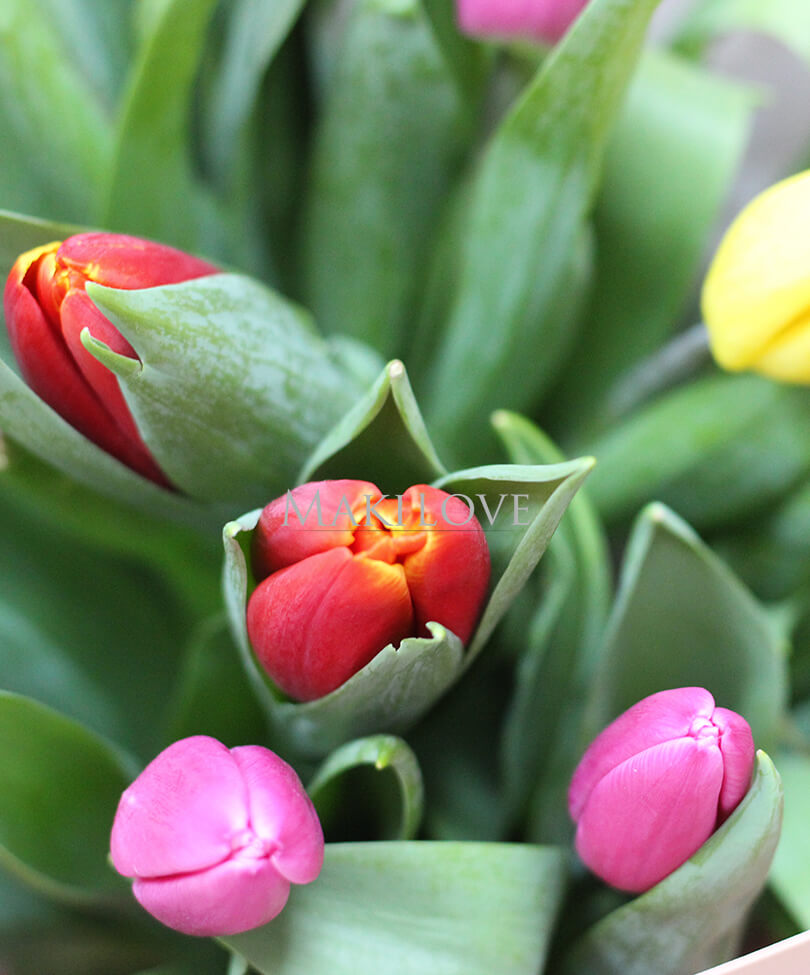 Букет тюльпанов