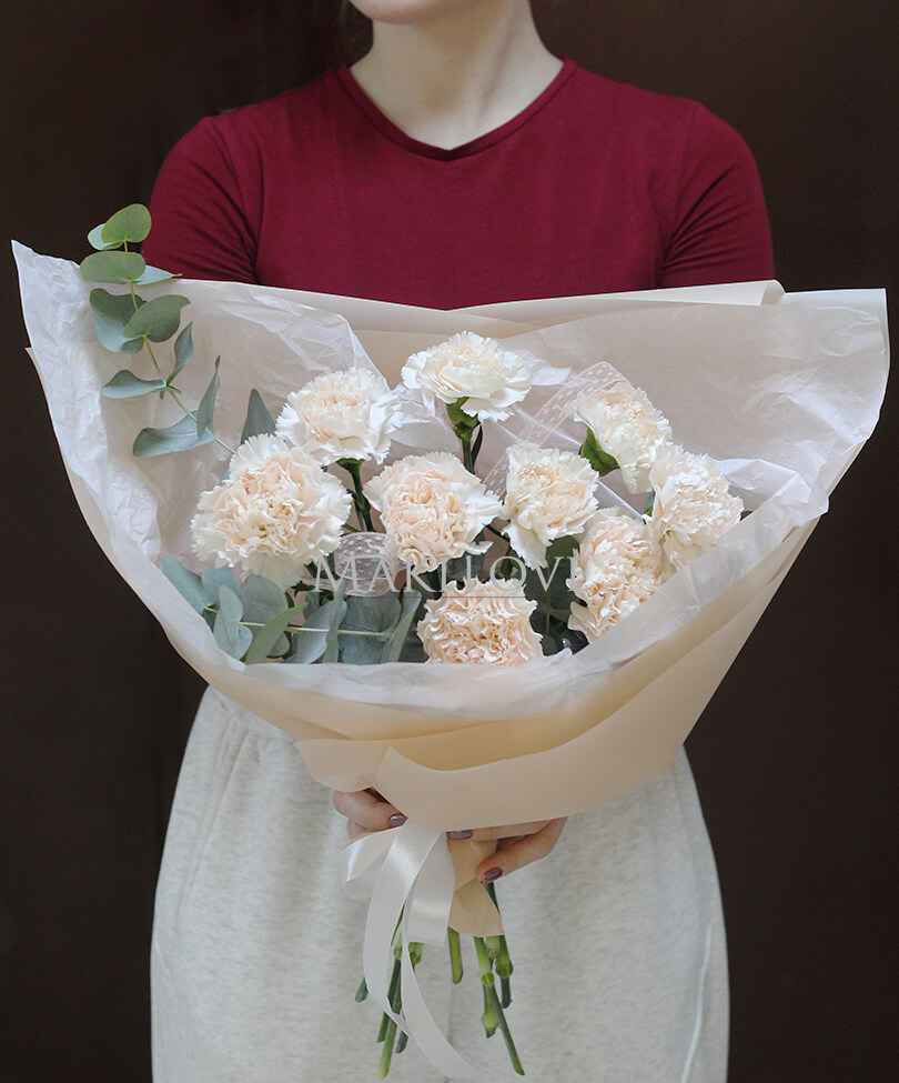 Букет из 9 нежных гвоздик