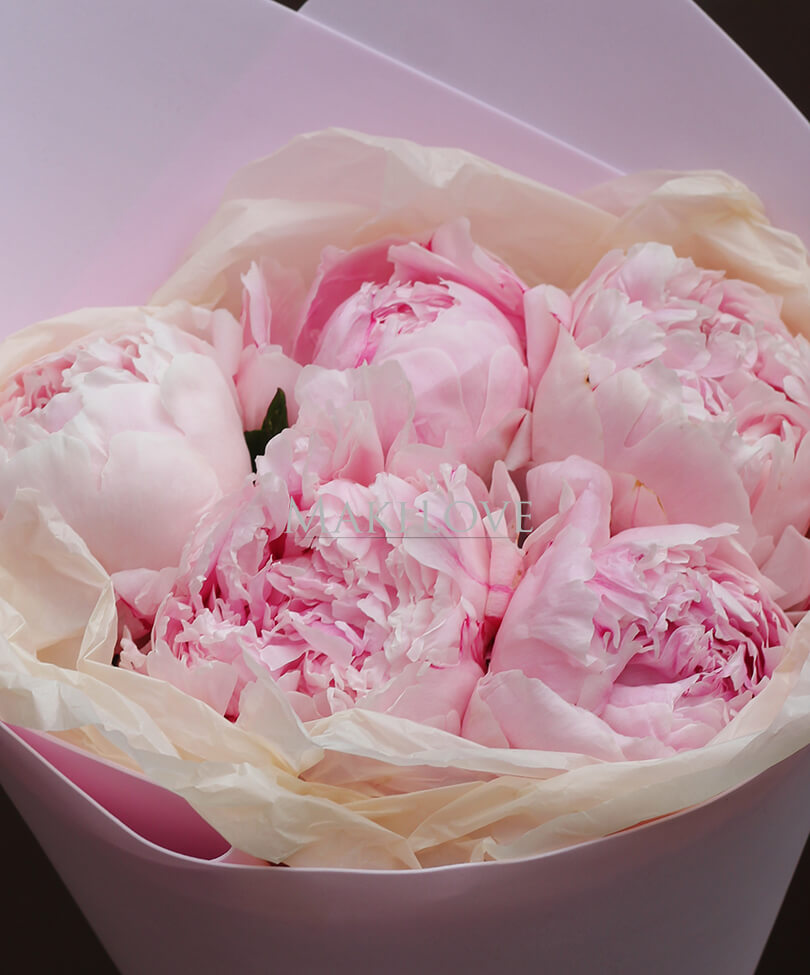 Пионы в крафт бумаге