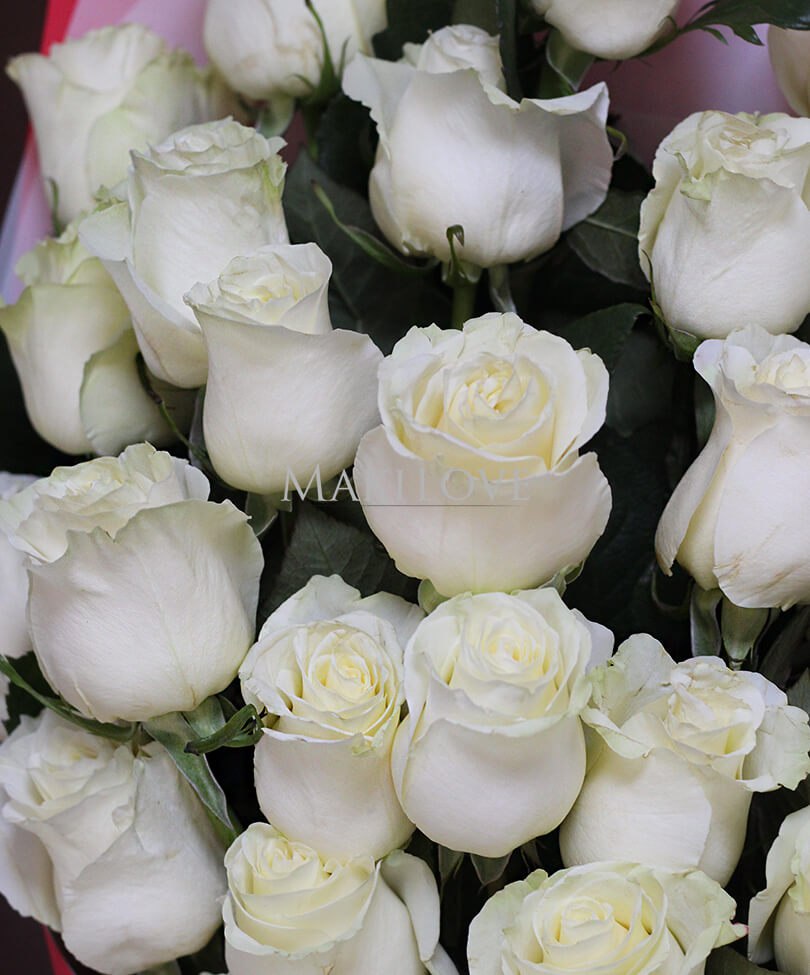 Сердце из 51 белой розы