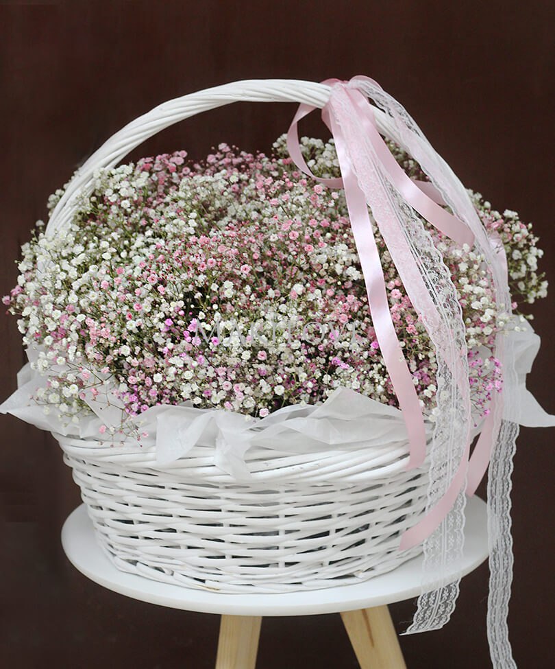 Облако гипсофил в корзине