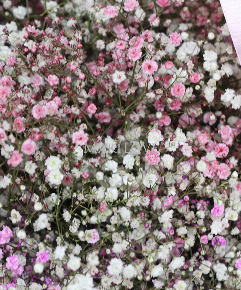 Облако гипсофил в корзине