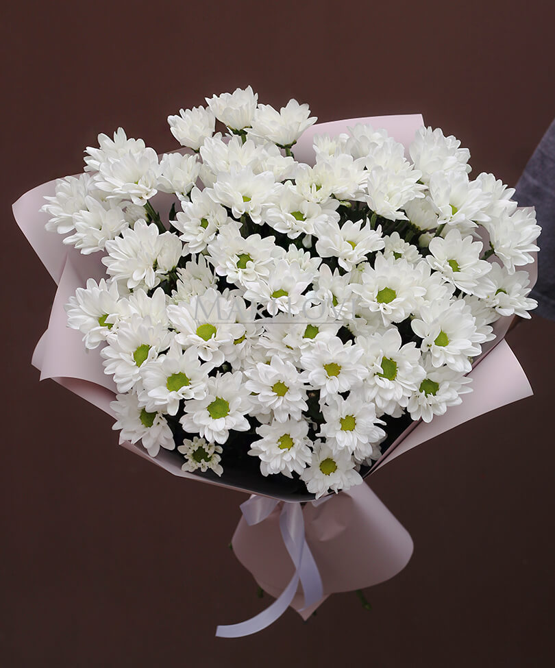 Букет из 11 хризантем