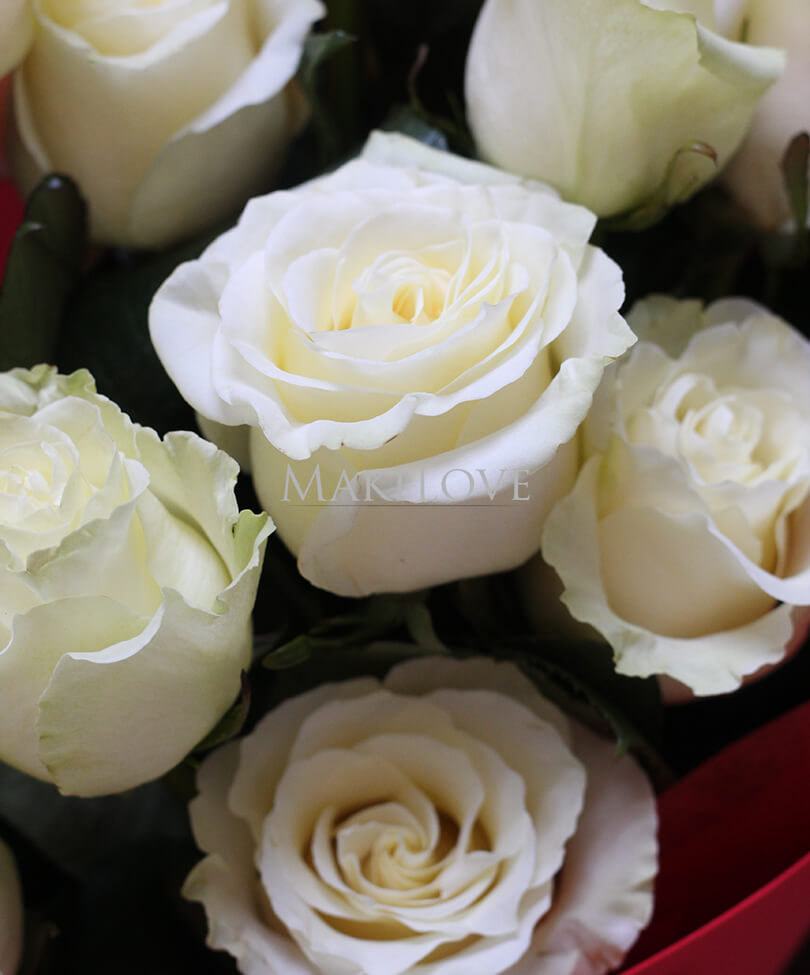 Сердце из 15 белых роз