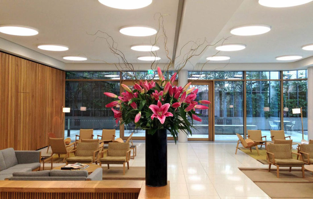 Gpo flowers. Флористика для офиса. Цветы для офиса. Офис флористической компании. Офис ресепшен цветы.