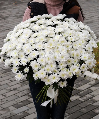 Букет из 51 белых хризантем