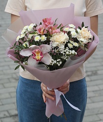 Зефир стандартный