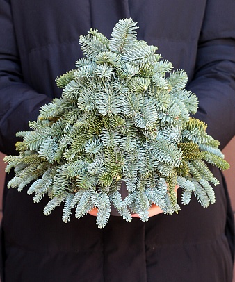 Новогодняя композиция «Наряди меня сам»