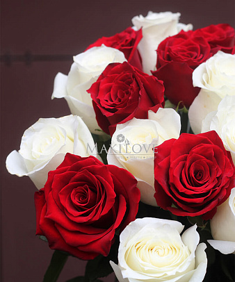 Букет 25 красно-белых роз