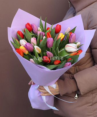35 тюльпанов