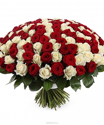 Букет из 201 красной и белой розы