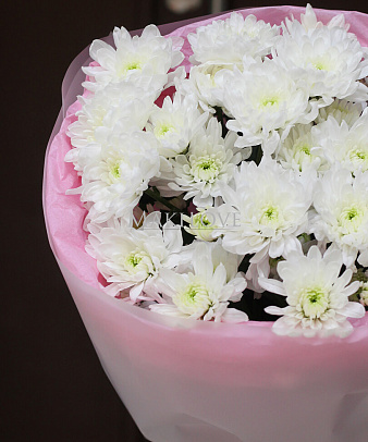 Спецпредложение