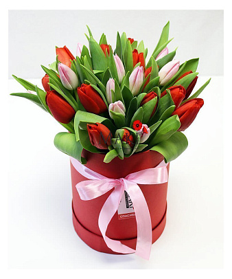 Букет тюльпанов «Голландия» в шляпной коробке
