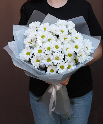 Букет из 5 хризантем