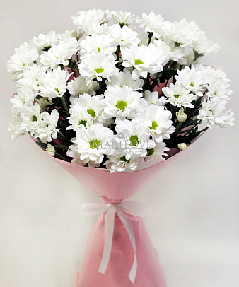 Букет из 7 хризантем