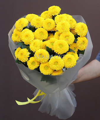 Букет из 5 желтых хризантем