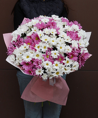 Букет хризантем «Лучший повод»