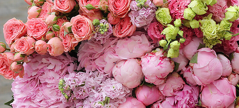 Язык цветов: Почему на День святого Валентина дарят букеты?