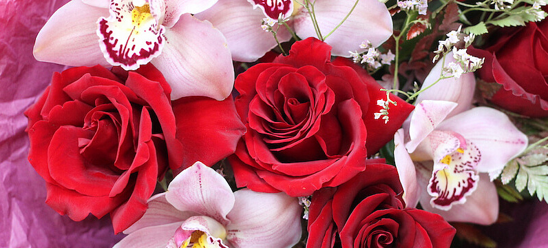 Какие цветы дарят на 8 марта: Полное руководство по выбору идеального букета